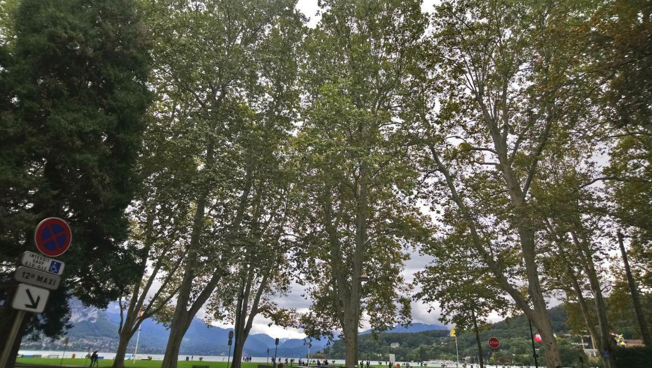 Residence Albigny Studio Vue Sur Lac Centre-Ville D'Annecy Buitenkant foto